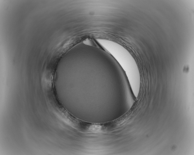 X0000093610227200711051225