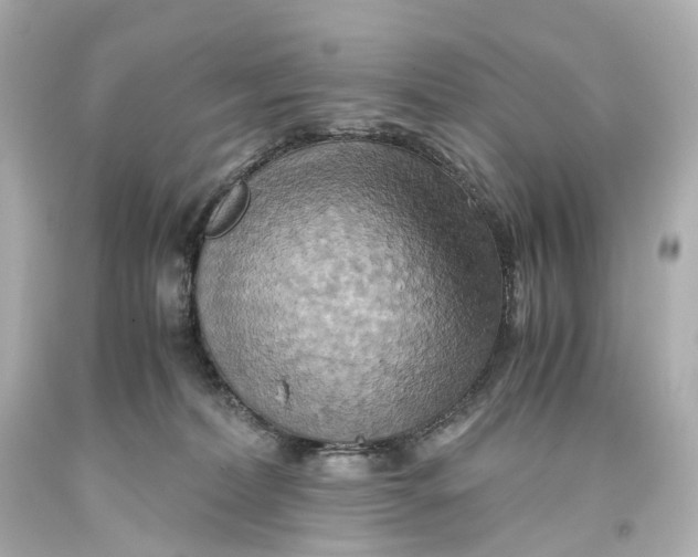 X0000093610228200711051225