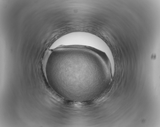 X0000093610229200711051225