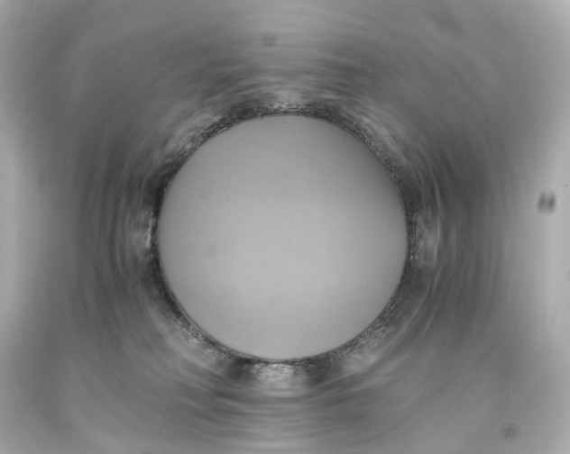 X0000093610230200711051225