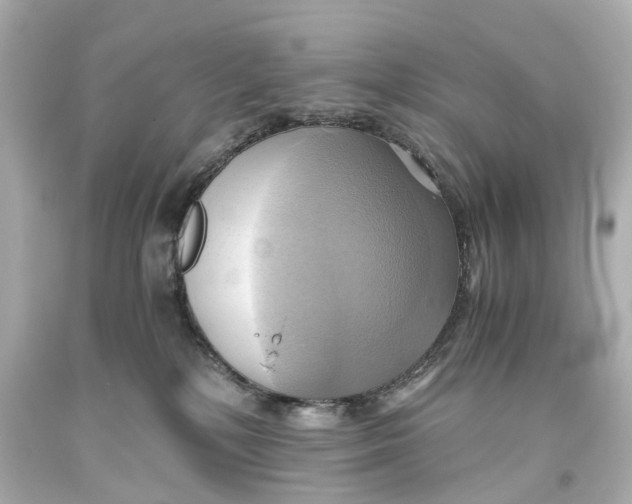 X0000093610232200711051225