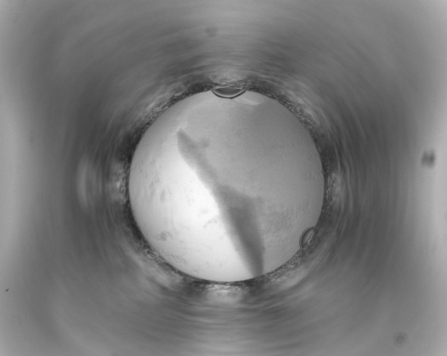 X0000093610234200711051225