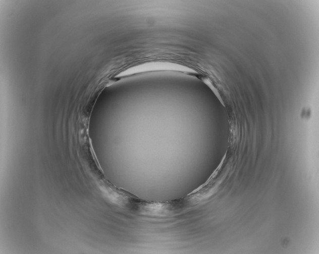 X0000093610237200711051225