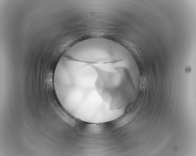 X0000093610238200711051225