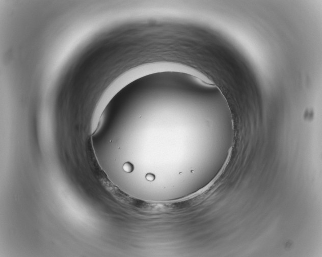 X0000093610239200711051225