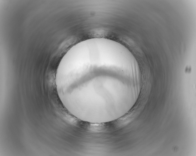 X0000093610240200711051225