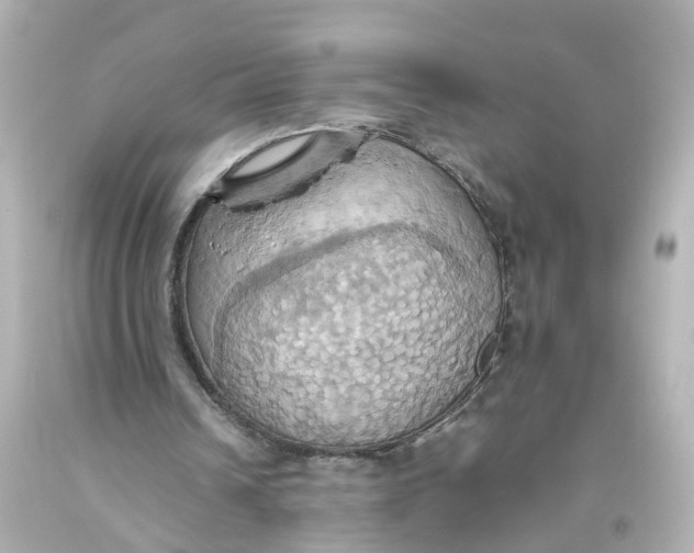 X0000093610242200711051225