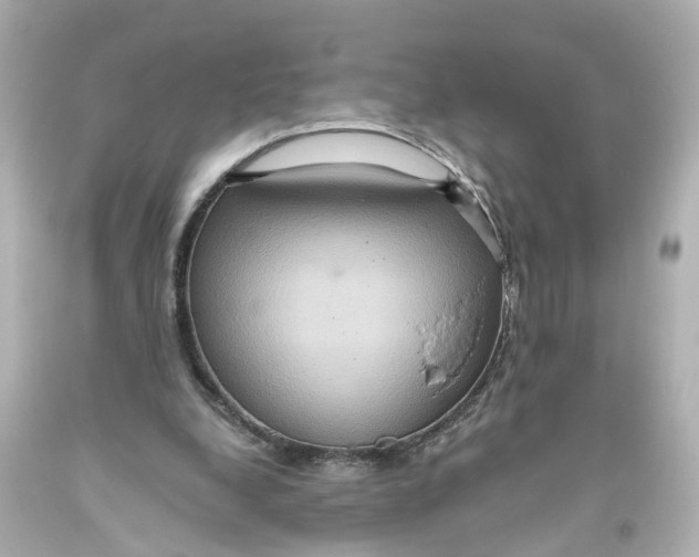 X0000093610248200711051225