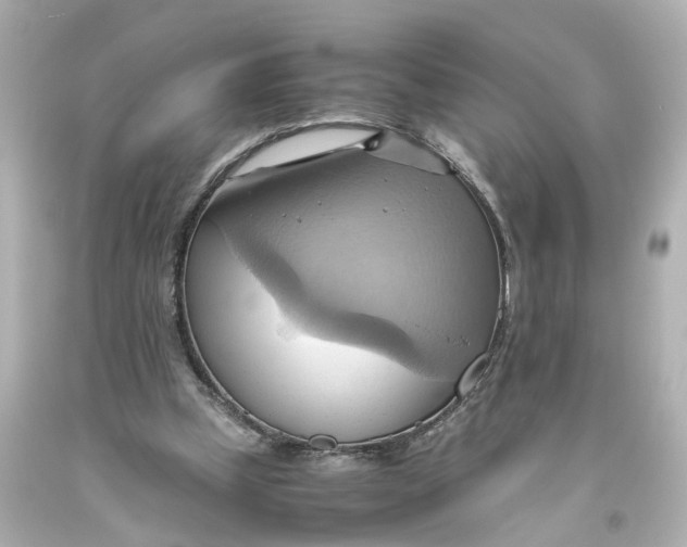 X0000093610249200711051225