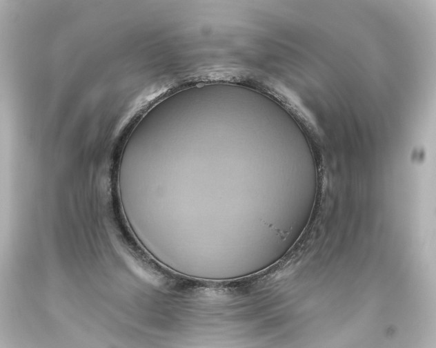 X0000093610250200711051225