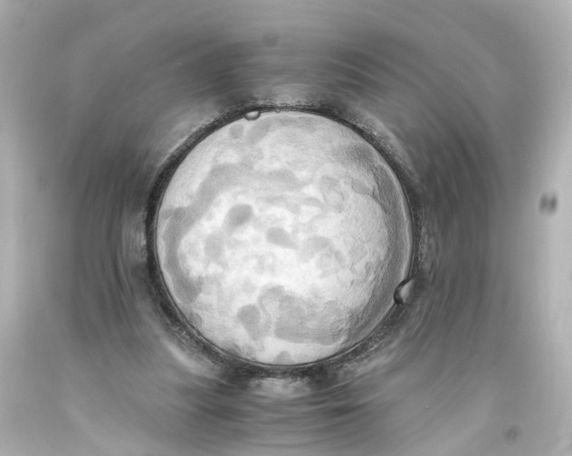 X0000093610251200711051225