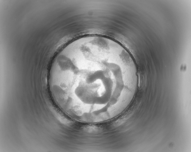 X0000093610253200711051225