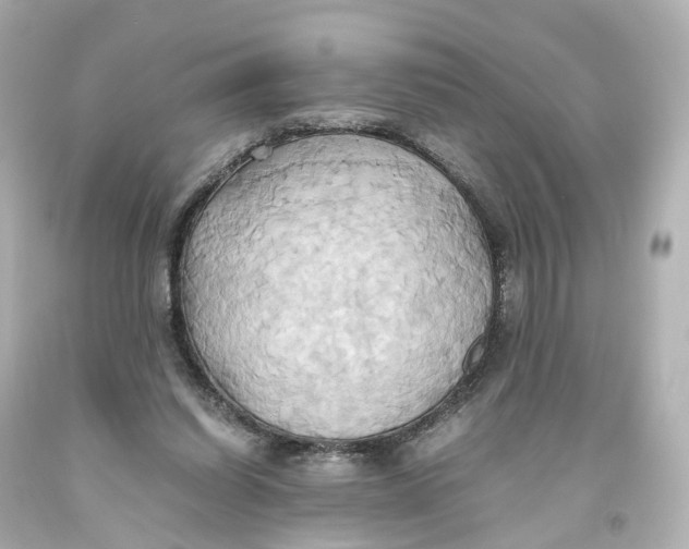 X0000093610254200711051225