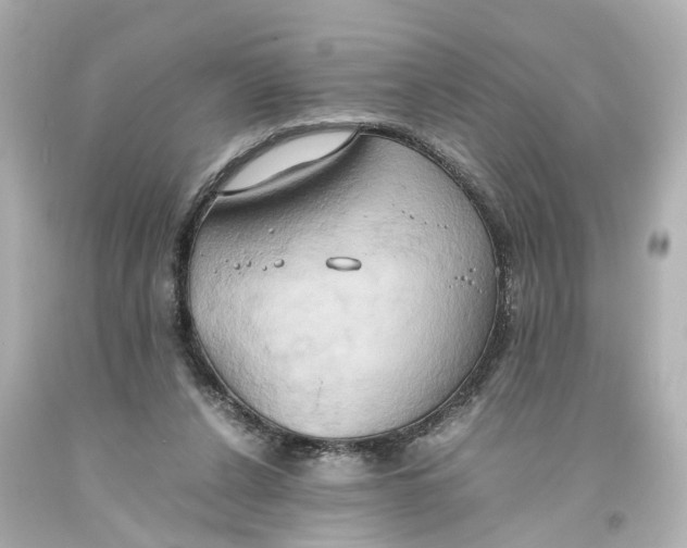 X0000093610256200711051225
