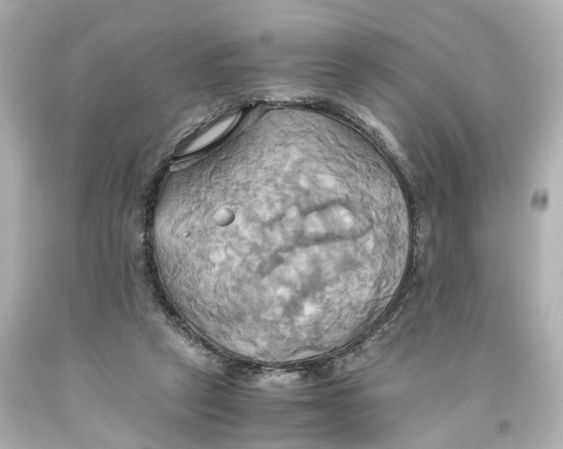 X0000093610257200711051225