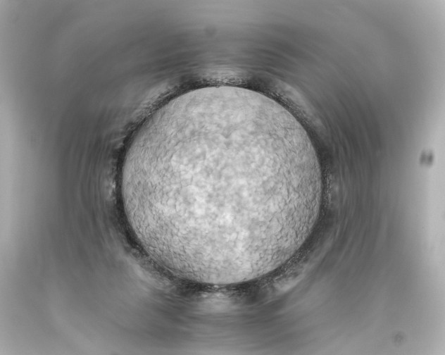 X0000093610259200711051225