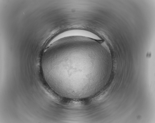 X0000093610260200711051225