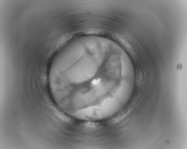 X0000093610261200711051225