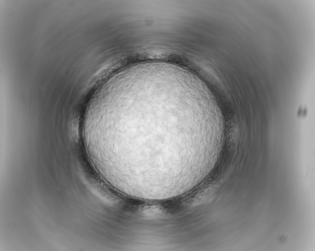 X0000093610262200711051225