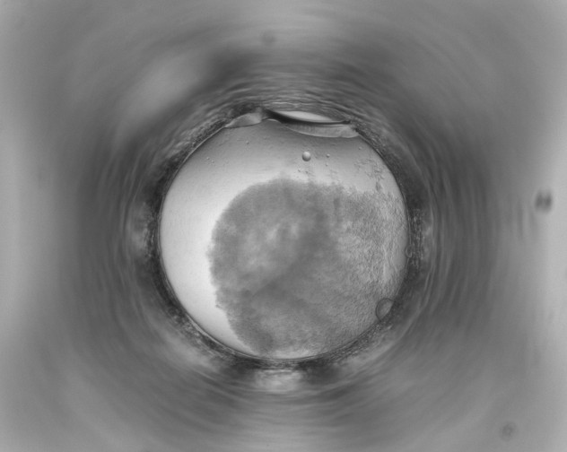 X0000093610266200711051225