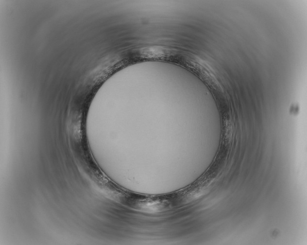 X0000093610267200711051225