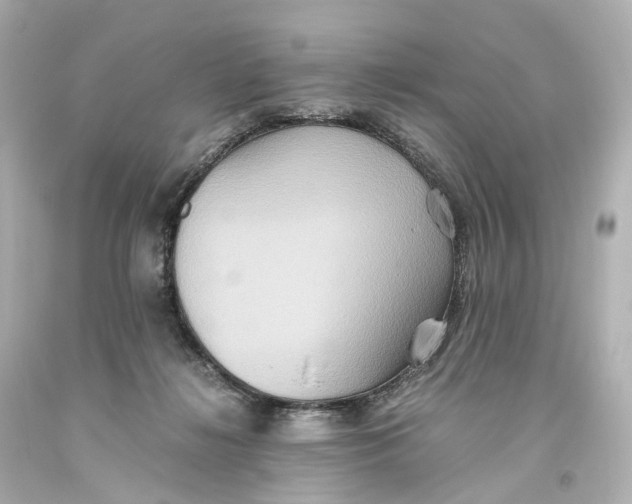 X0000093610268200711051225