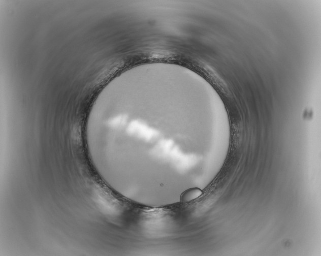 X0000093610269200711051225