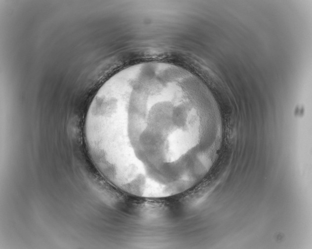 X0000093610270200711051225