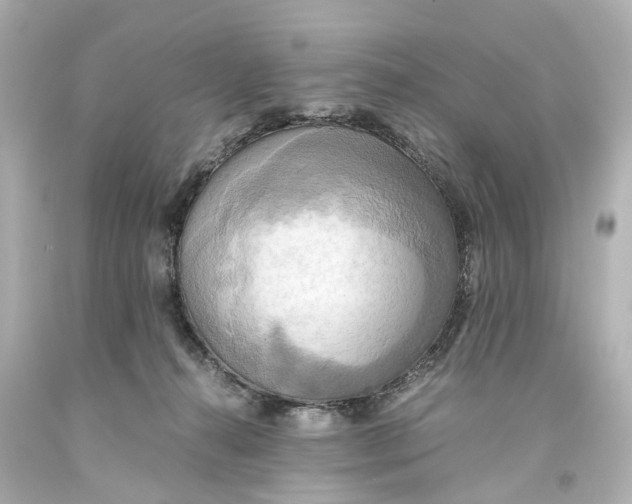 X0000093610272200711051225