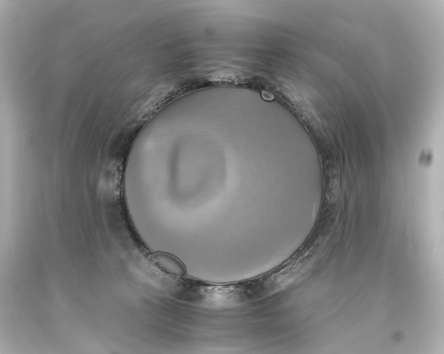 X0000093610273200711051225