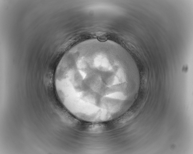 X0000093610274200711051225