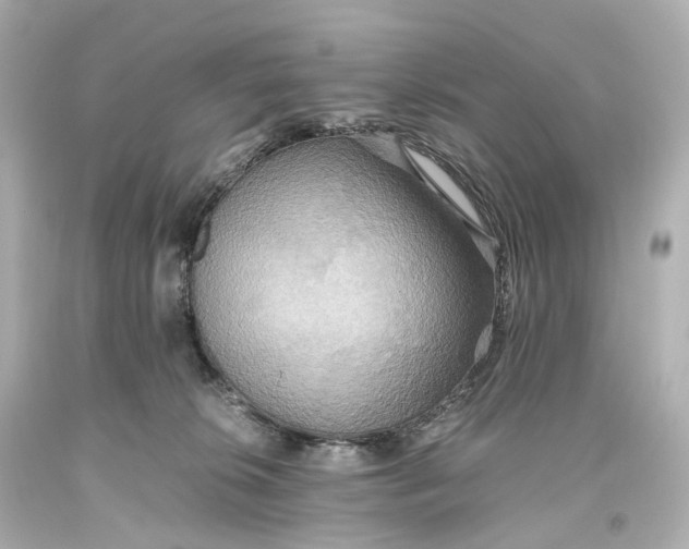 X0000093610276200711051225