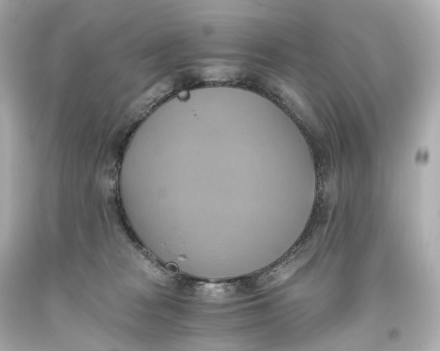 X0000093610277200711051225