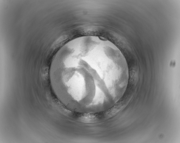 X0000093610278200711051225