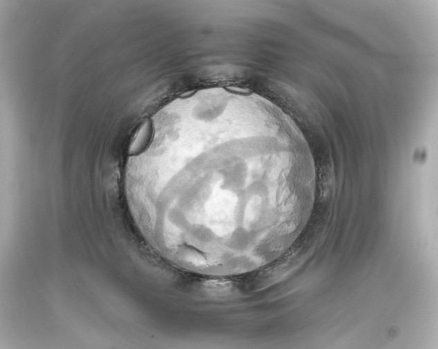 X0000093610279200711051225