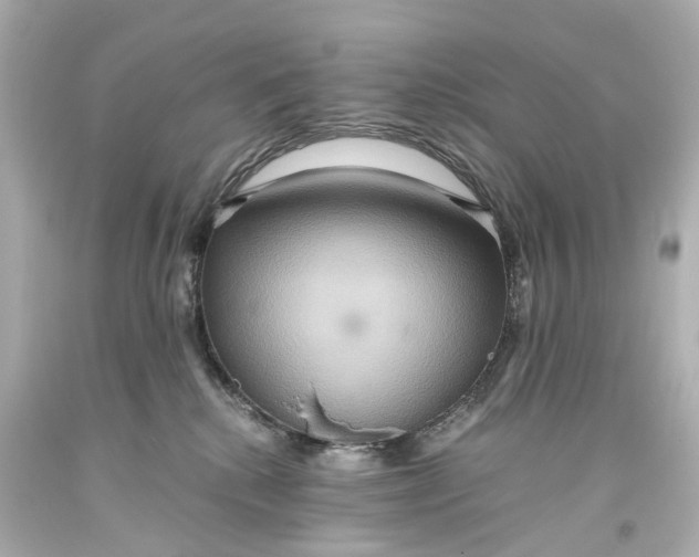 X0000093610280200711051225
