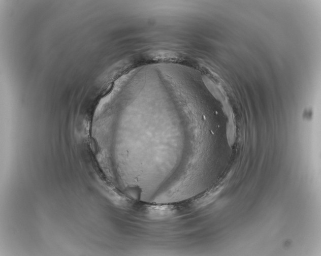 X0000093610281200711051225