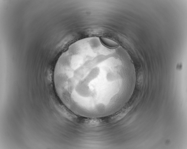 X0000093610282200711051225