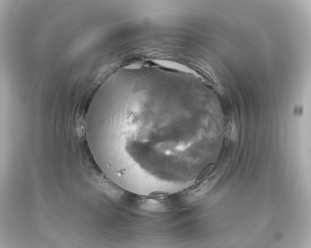 X0000093610285200711051225