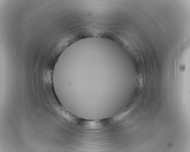 X0000093610286200711051225