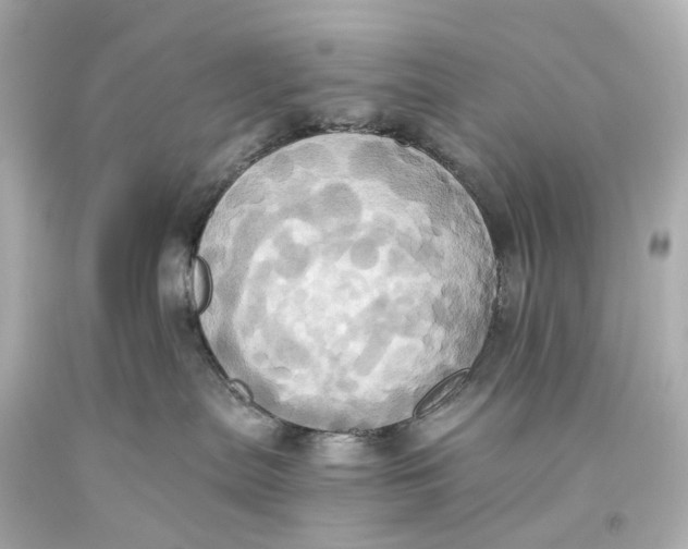 X0000093610287200711051225