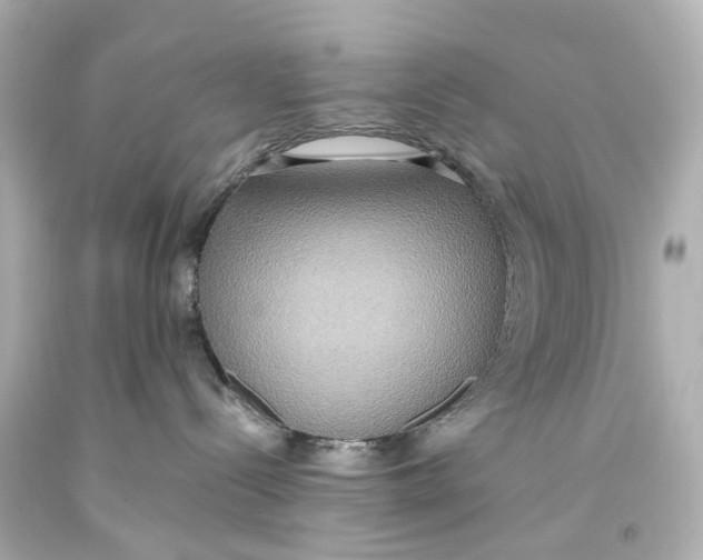 X0000093610288200711051225