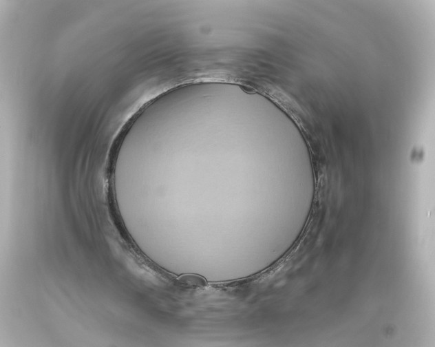 X0000093610290200711051225
