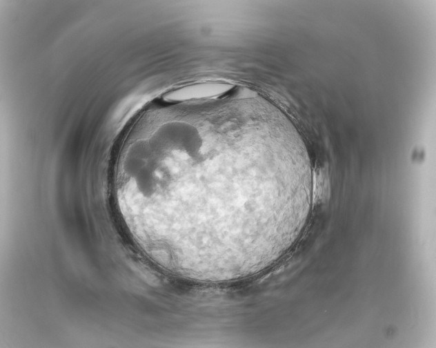 X0000093610291200711051225