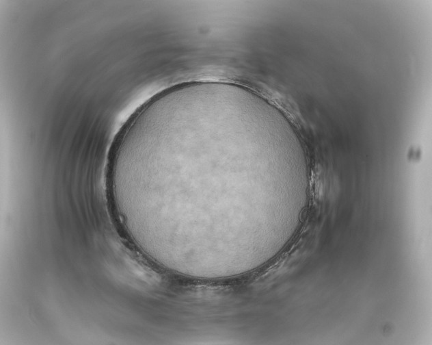 X0000093610292200711051225