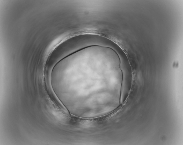 X0000093610293200711051225