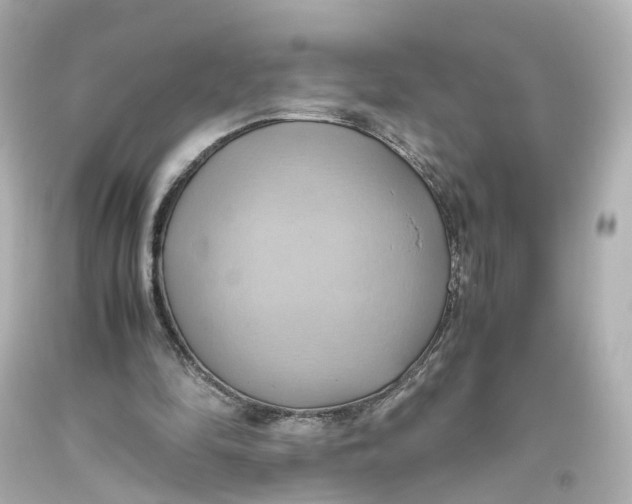 X0000093610294200711051225