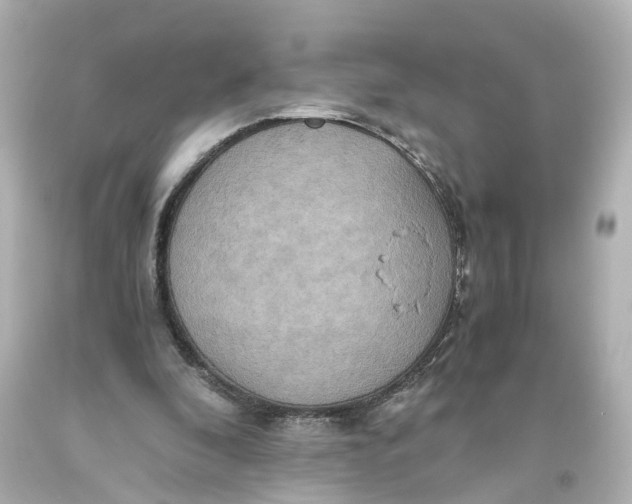 X0000093610296200711051225