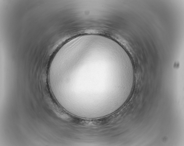 X0000093610297200711051225