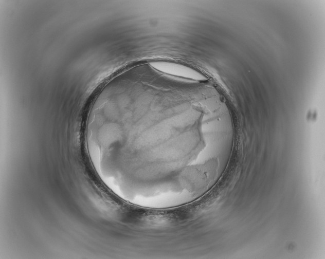 X0000093610299200711051224